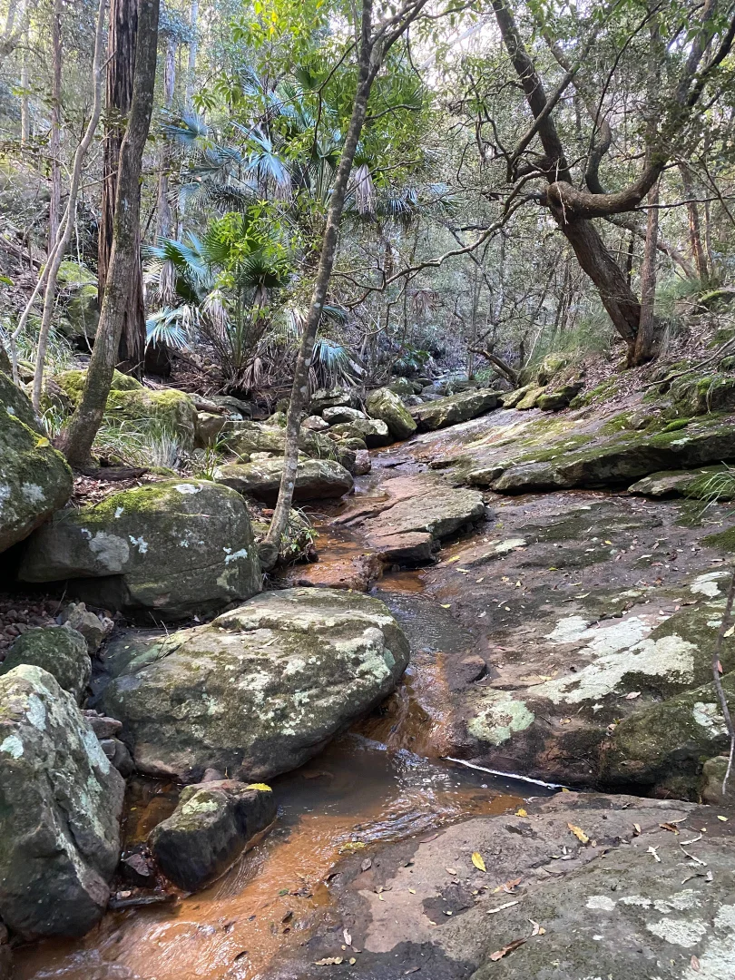 Additional image 12 of 52A Lilly Pilly Lane, Tapitallee NSW 2540