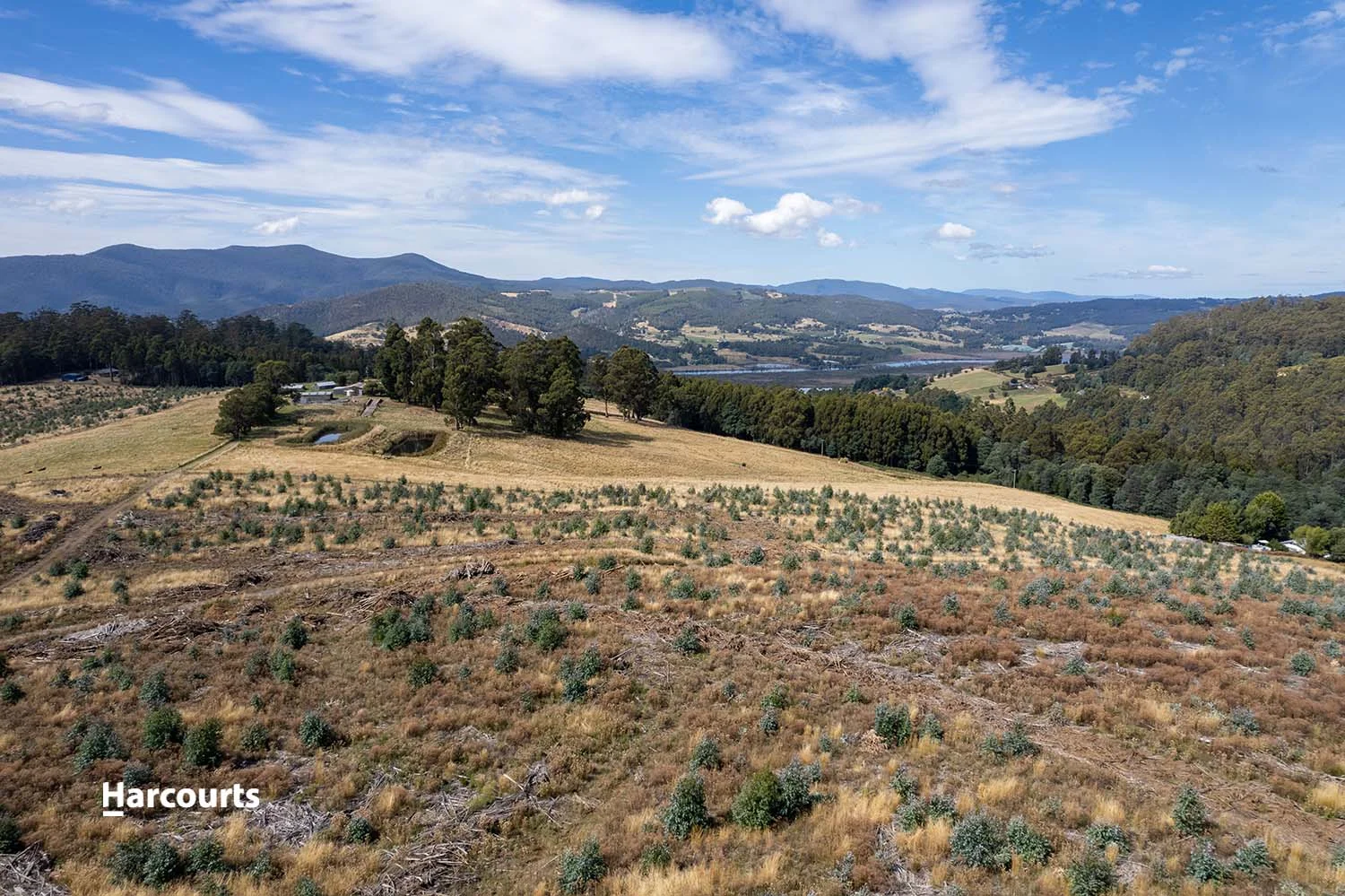 Lot 10 Paddys Lane, Franklin TAS 7113