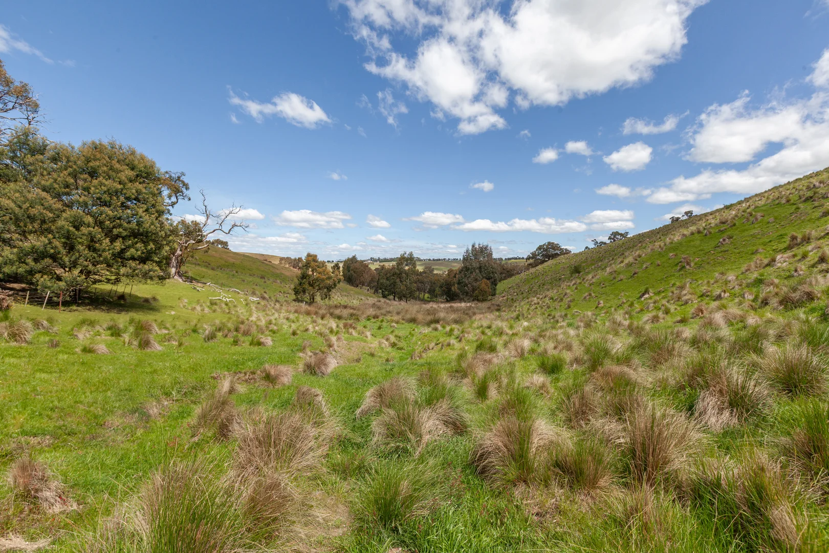 Additional image 13 of 35, 35A, 42 & 42A Romsey Road, Chintin VIC 3756