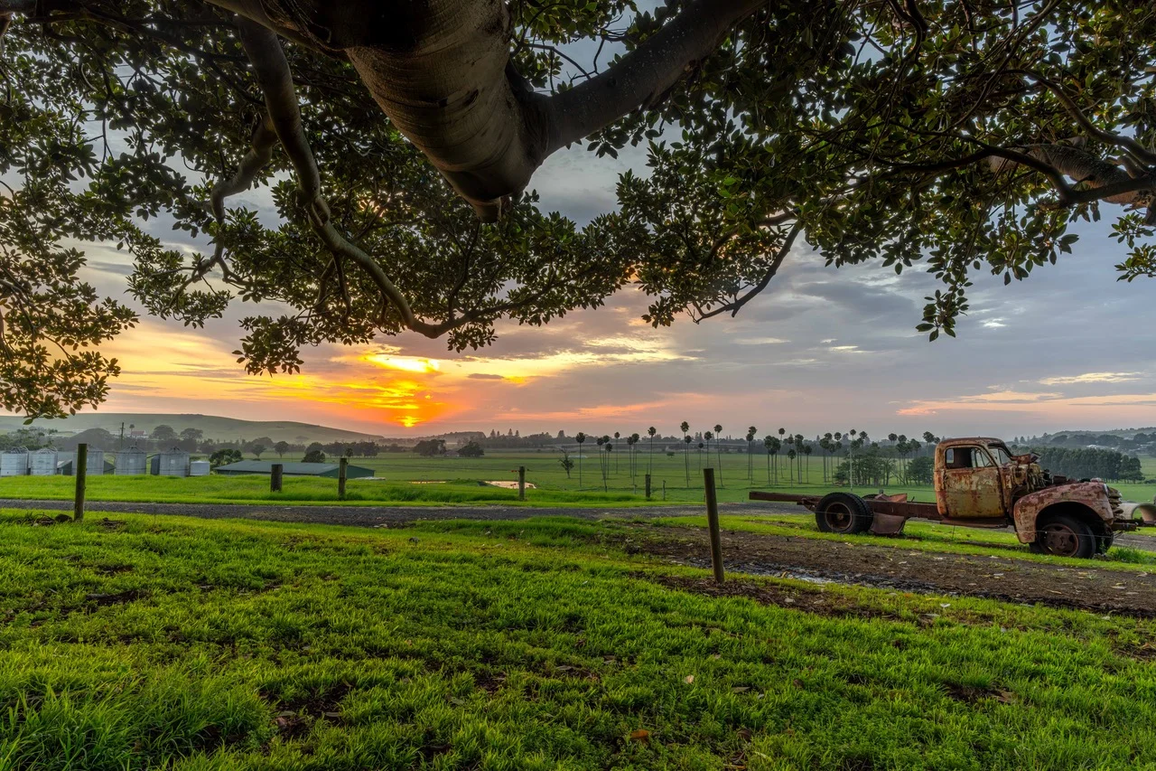 Additional image 4 of Lot 3002 - Alne Bank Rose Valley Road, Rose Valley NSW 2534
