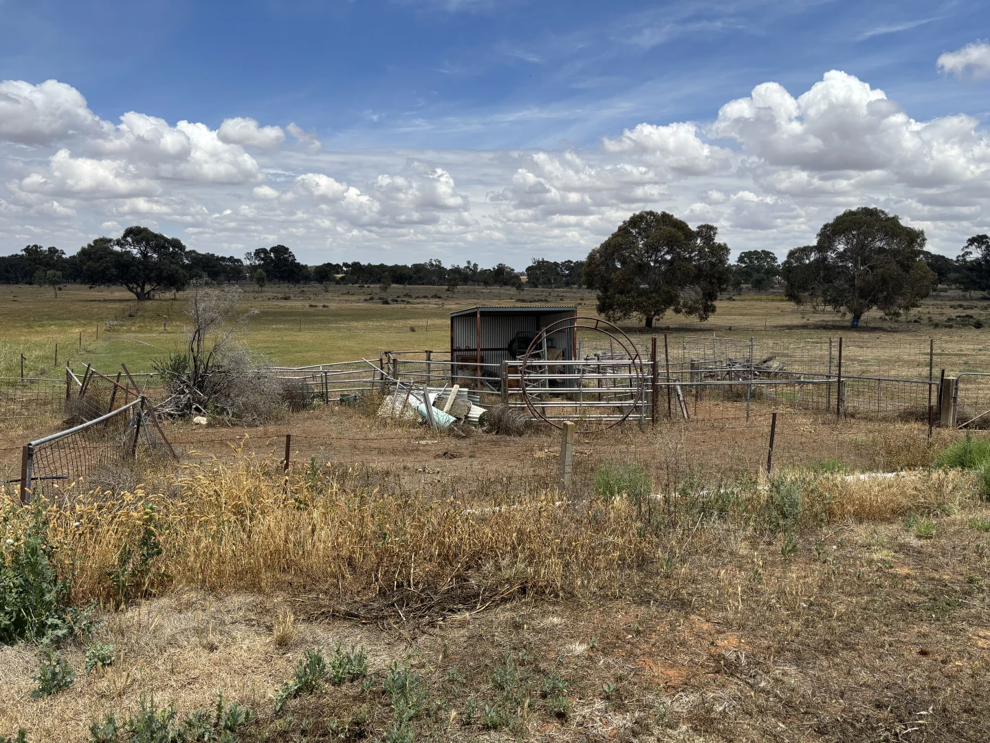 Additional image 4 of SOUTH STREET, Donald VIC 3480