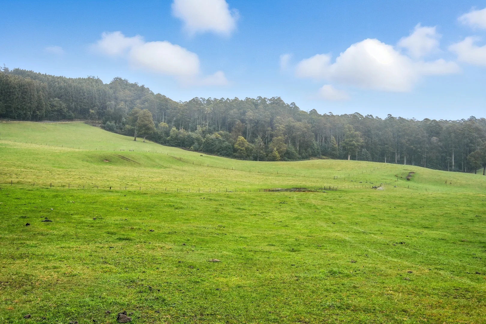 Additional image 6 of 64 Mersey Forest Road, Liena TAS 7304