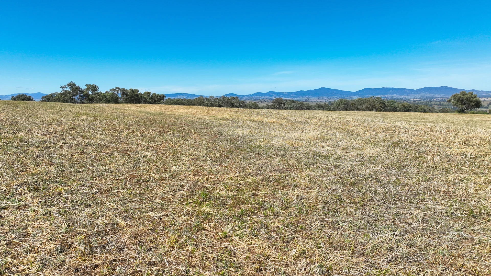 Additional image 8 of 1193 Marsden Park Road, Tamworth NSW 2340
