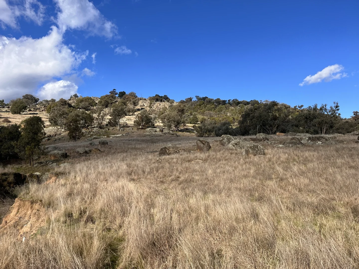 Additional image 5 of Lot 3 Tarrants Gap Road, Wyangala NSW 2808