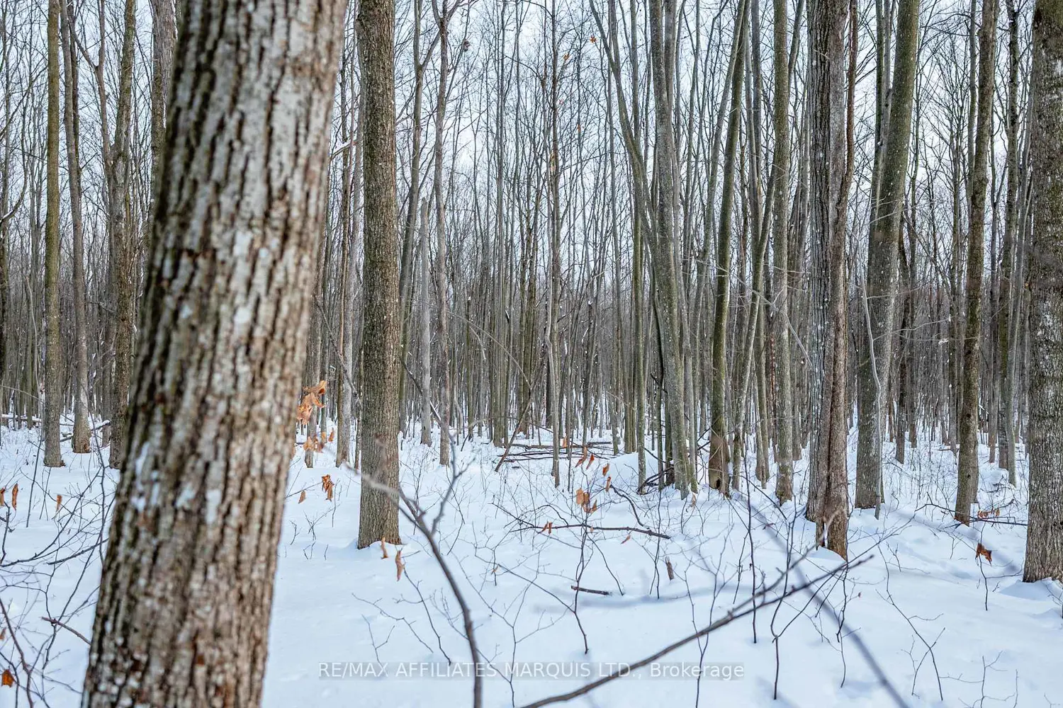 Additional image 16 of Lot Concession 10 Road