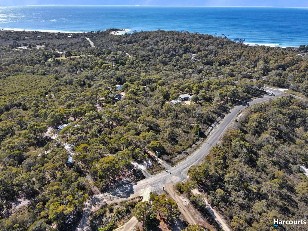 Additional image 31 of 24 Jeanneret Crescent, Binalong Bay TAS 7216