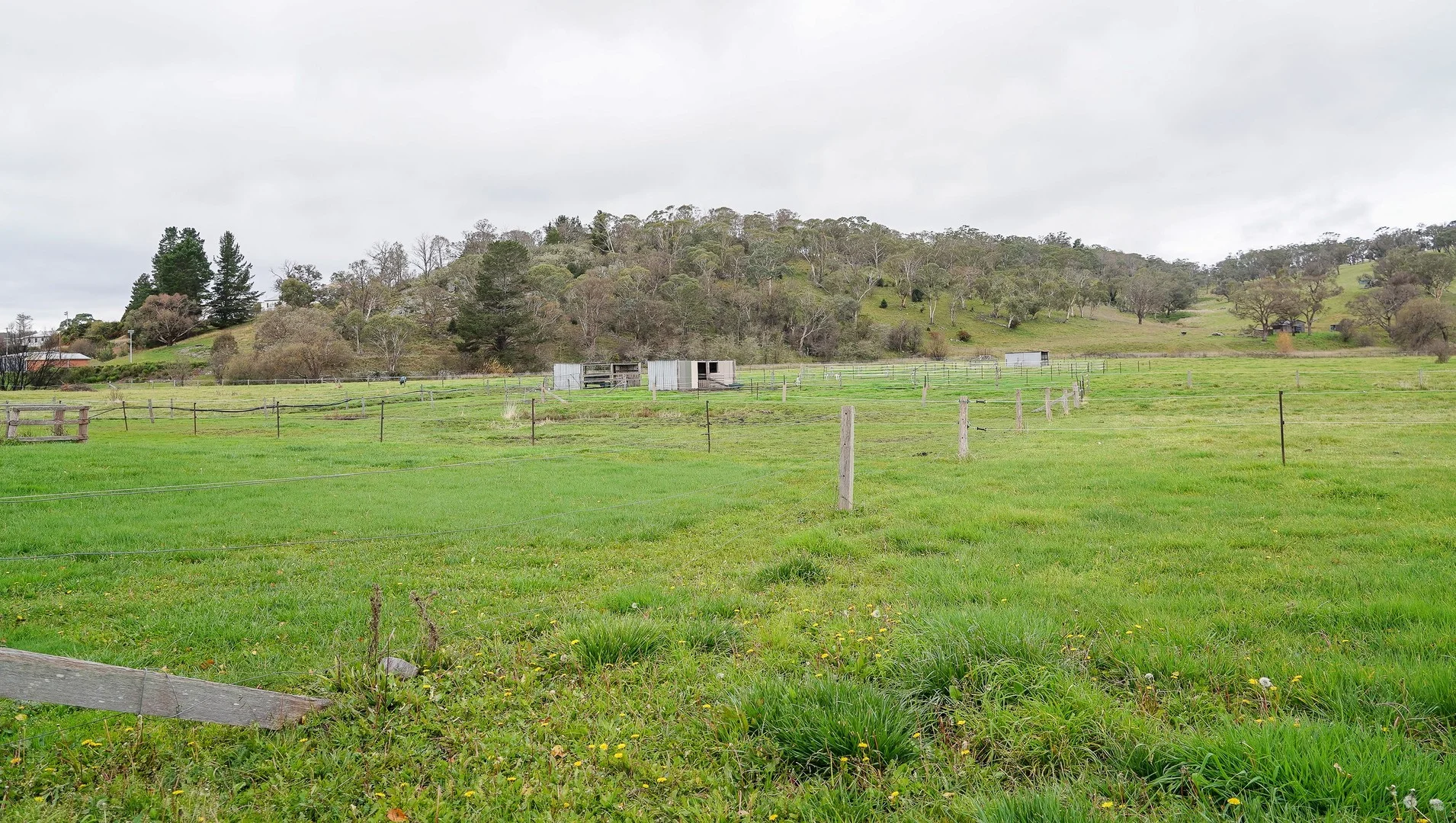 Additional image 8 of 105s Derby Street, Walcha NSW 2354