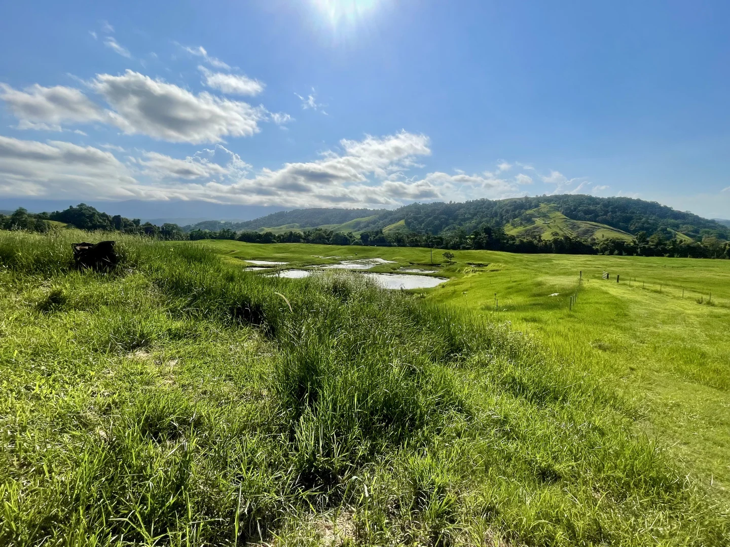 Additional image 10 of 141 Stewart Creek Road, Stewart Creek Valley, Daintree QLD 4873