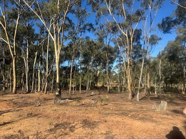 Additional image 5 of 2-20 Godfrey Street, Wedderburn VIC 3518