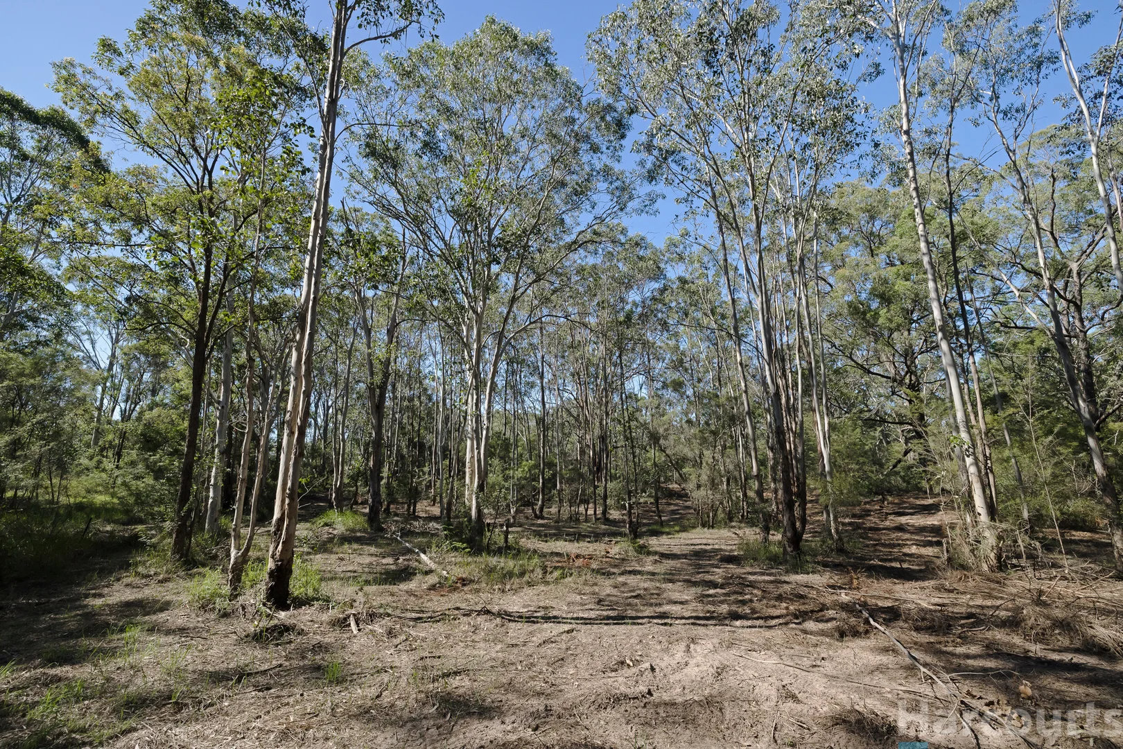 Additional image 4 of 75 Church Street, Abermain NSW 2326