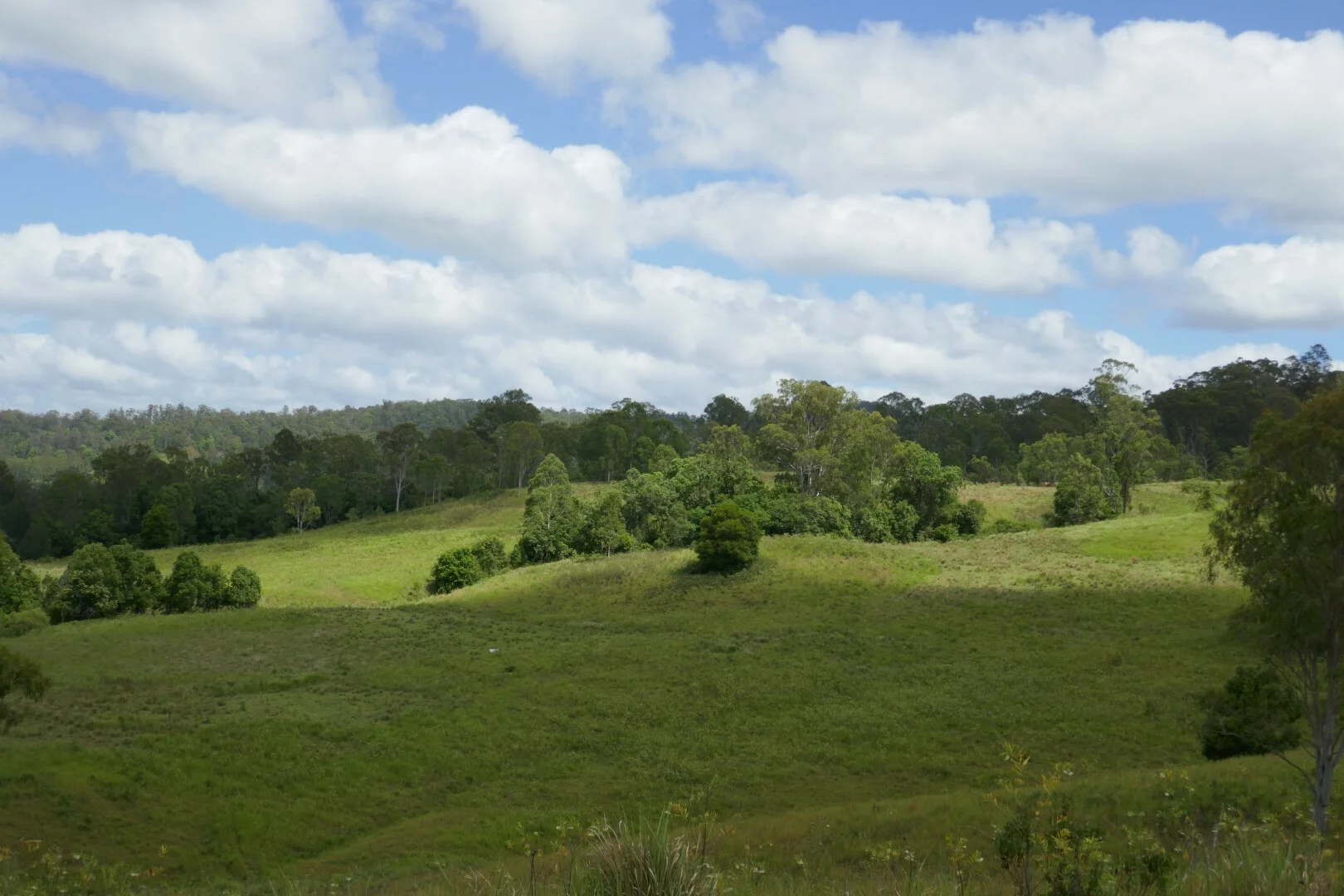 Additional image 7 of 1810 Afterlee Rd, Kyogle NSW 2474