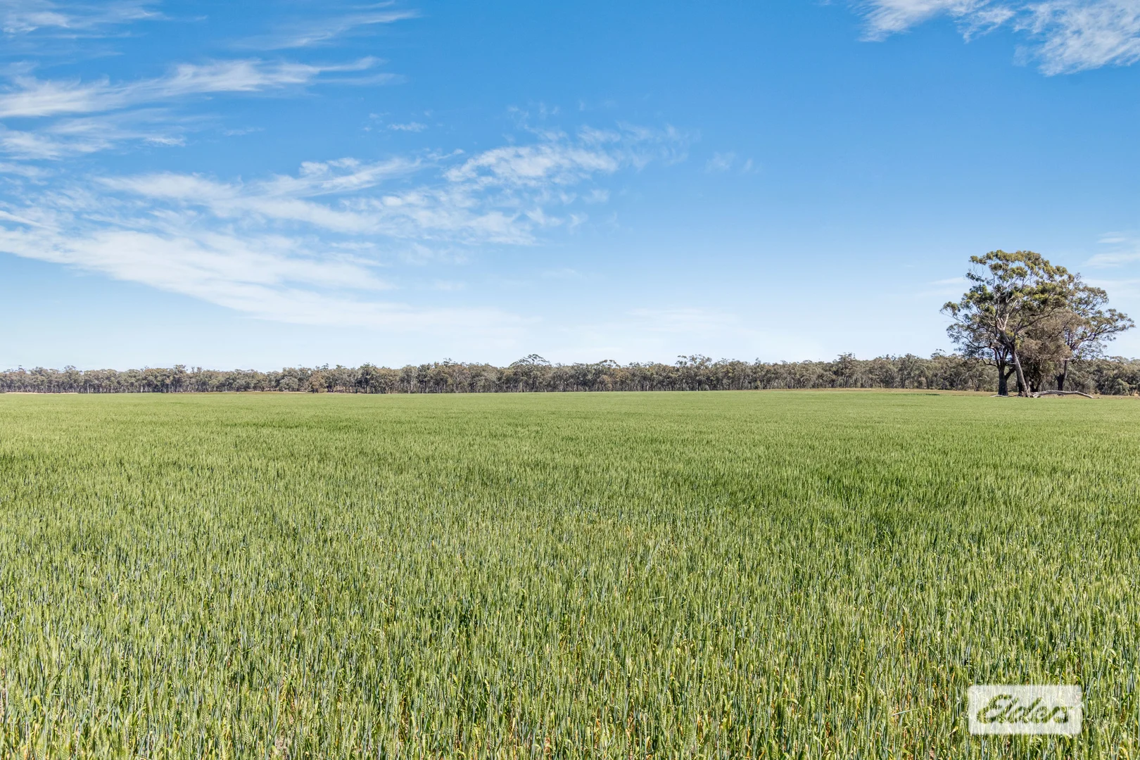 Additional image 4 of Laanecoorie-Newbridge Road, Newbridge VIC 3551