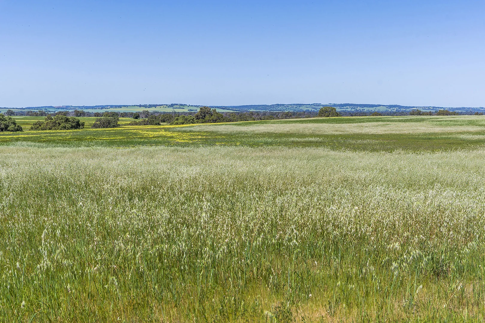 Additional image 21 of 577 Rogers Road, Mogumber WA 6506