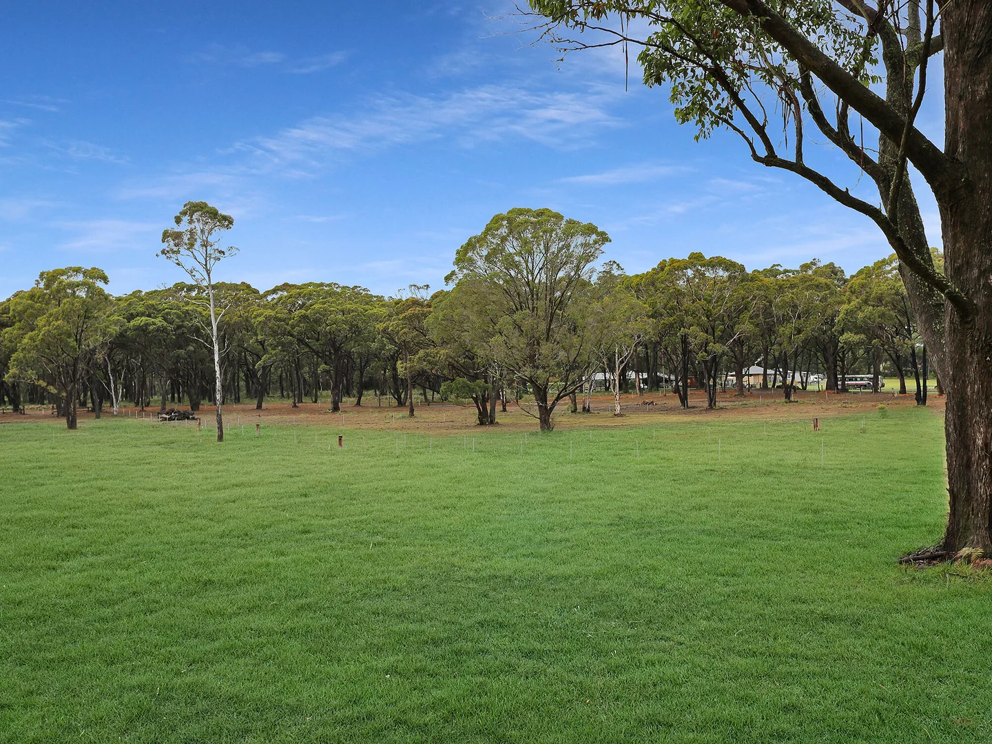 Additional image 9 of 1 - 8 Wildwood/Nandi/Wattlebird, Wingello NSW 2579