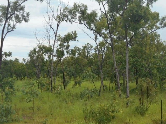Additional image 10 of Acacia Hills NT 0822