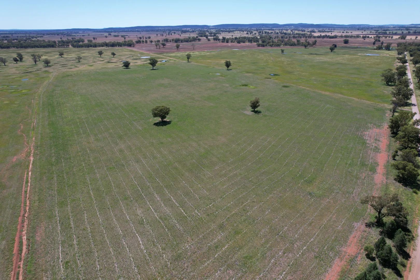 Additional image 15 of "Ben Hall Park" Yarrangong Road, Forbes NSW 2871