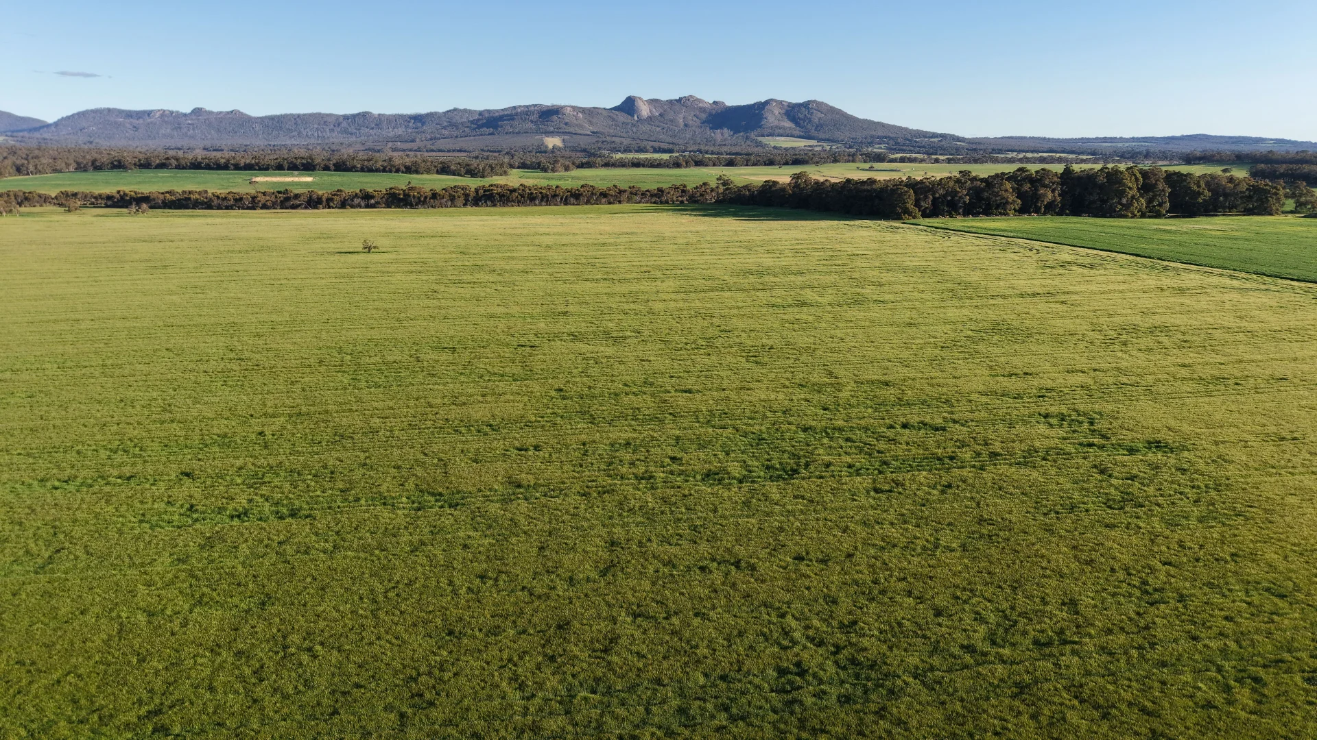 Additional image 6 of 491 Knight Road, Porongurup WA 6324