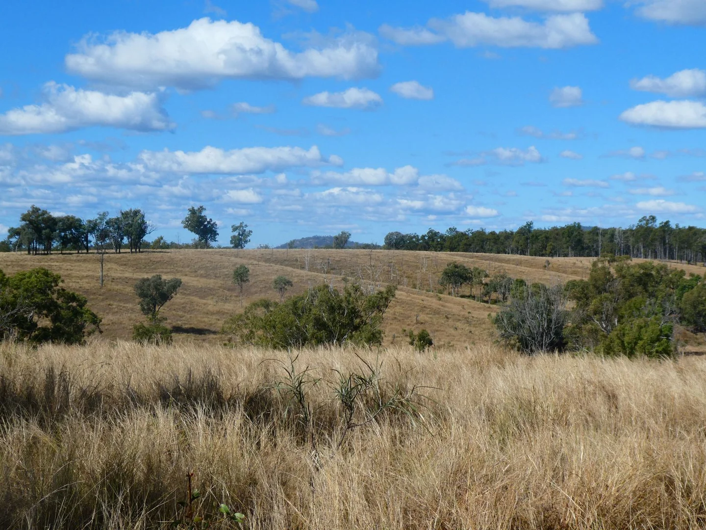 Additional image 12 of NRN BEERON ROAD, Beeron QLD 4626
