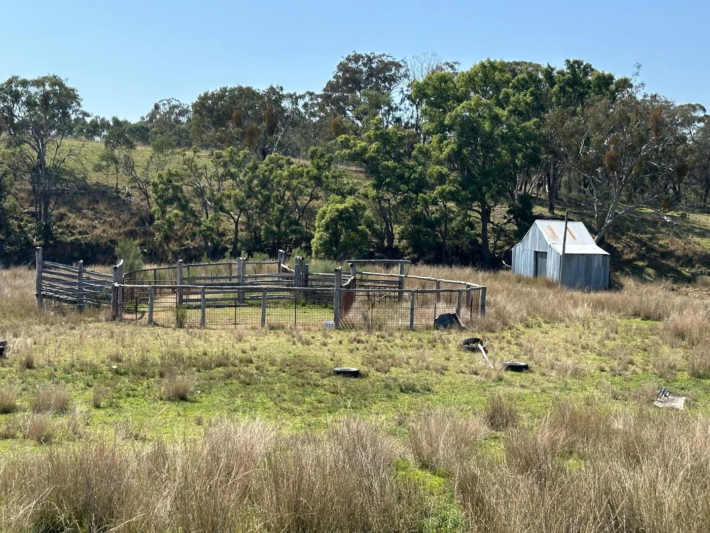 Additional image 15 of "Coolendoon" 810 The Pocket Road, Bukkulla NSW 2360