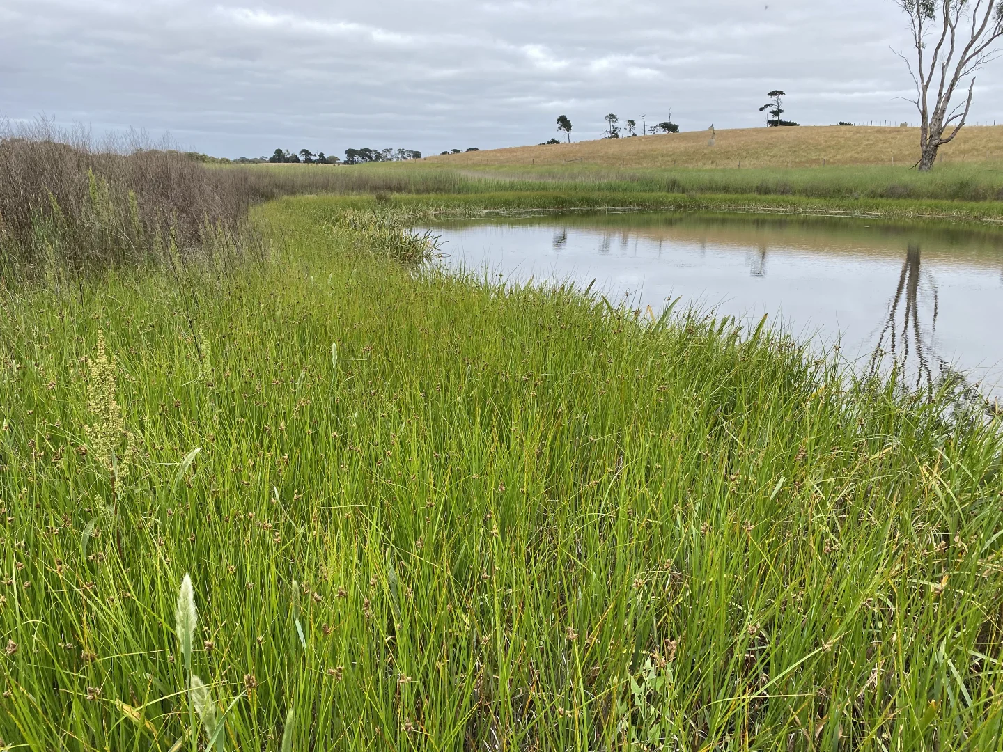 Additional image 7 of 680 Ghazeepore Road, Freshwater Creek VIC 3217