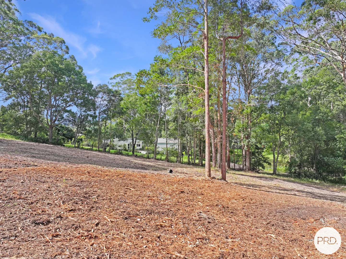 Additional image 6 of Lots 85 - 87 Dog Track Road, Kendall NSW 2439
