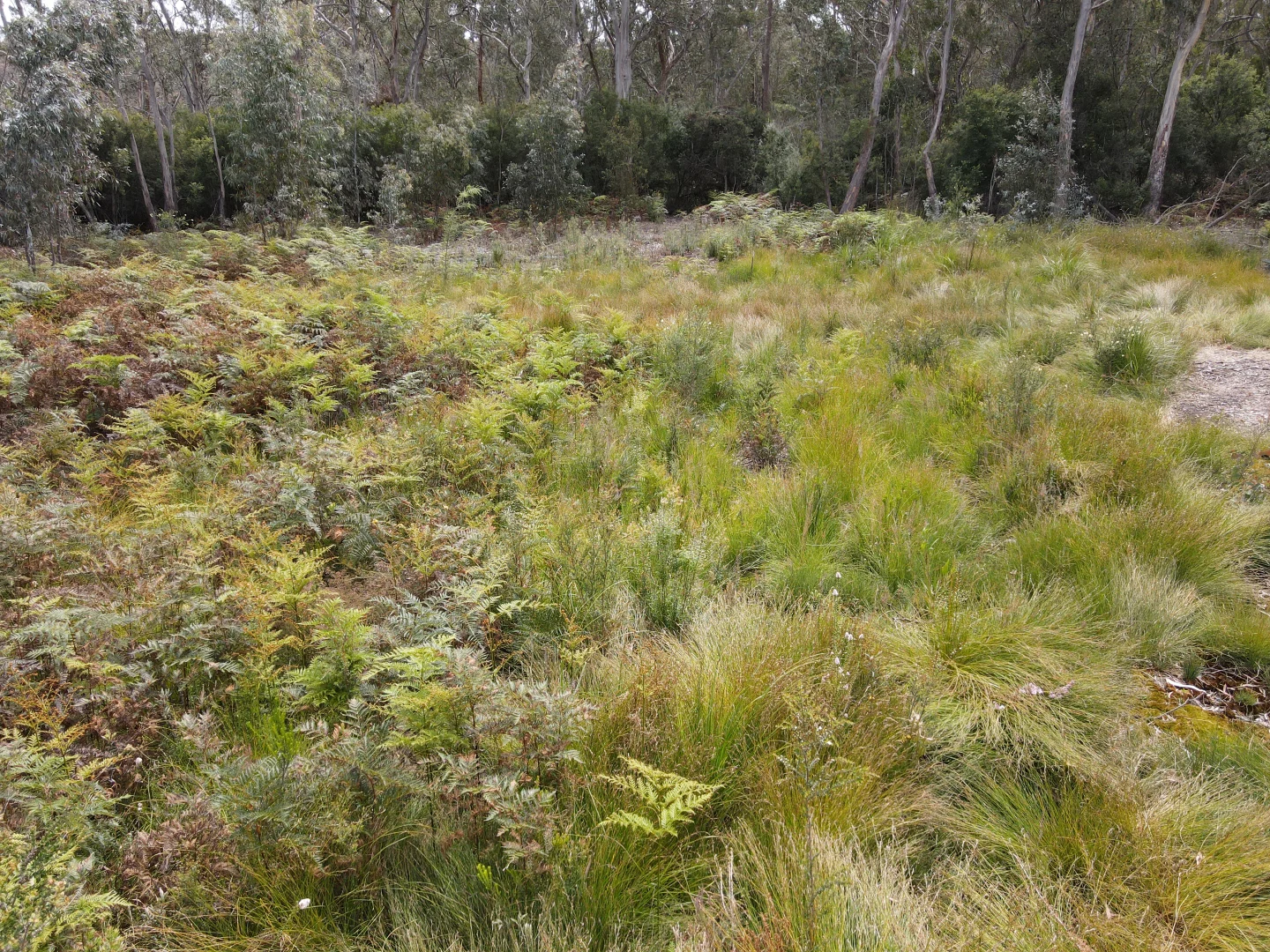 Additional image 2 of 16c Flakemores Road, Eggs And Bacon Bay TAS 7112