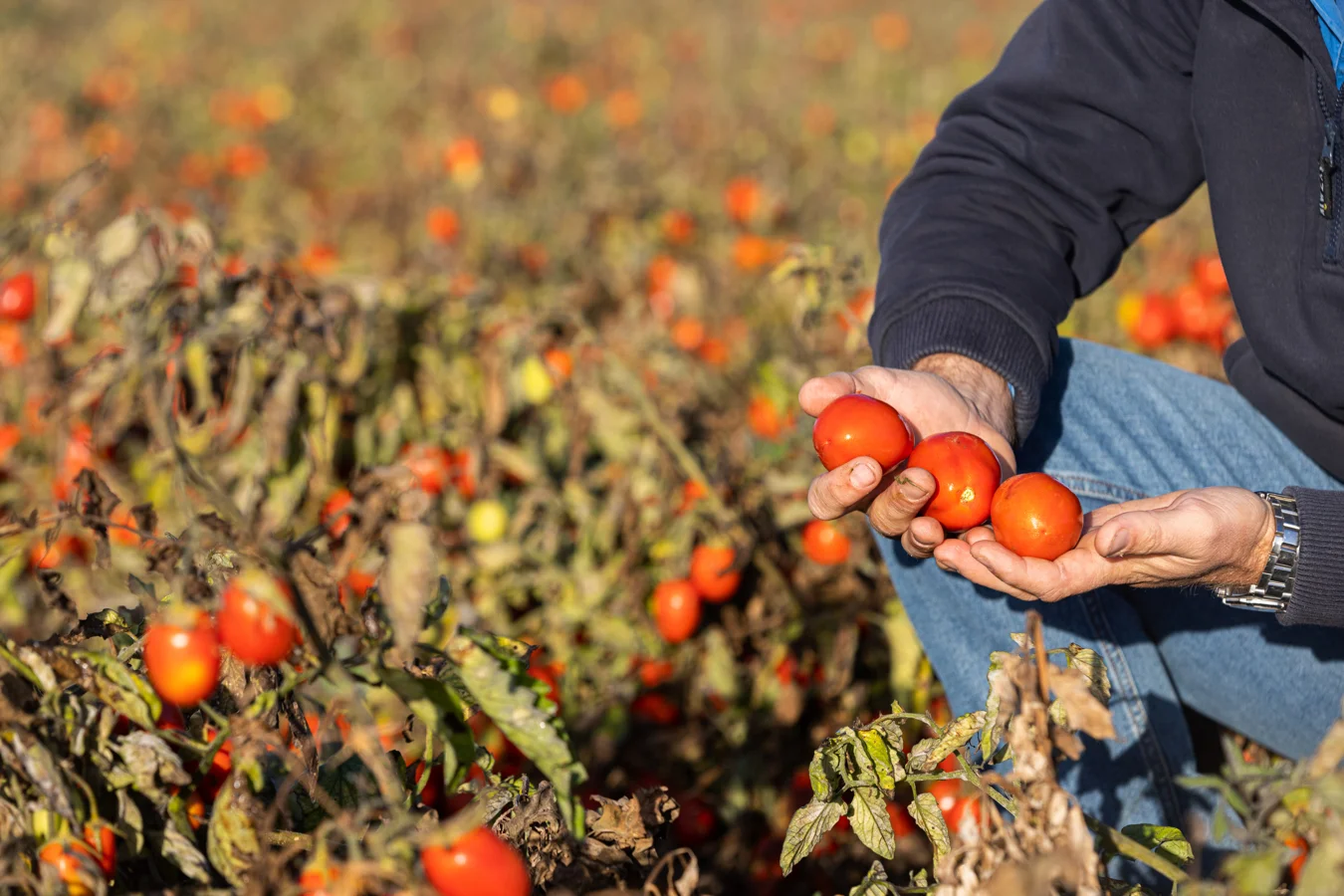 Additional image 14 of Winlaton VIC 3585