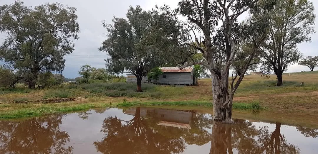 Additional image 24 of 14 Packs Grant Road, Cowra NSW 2794