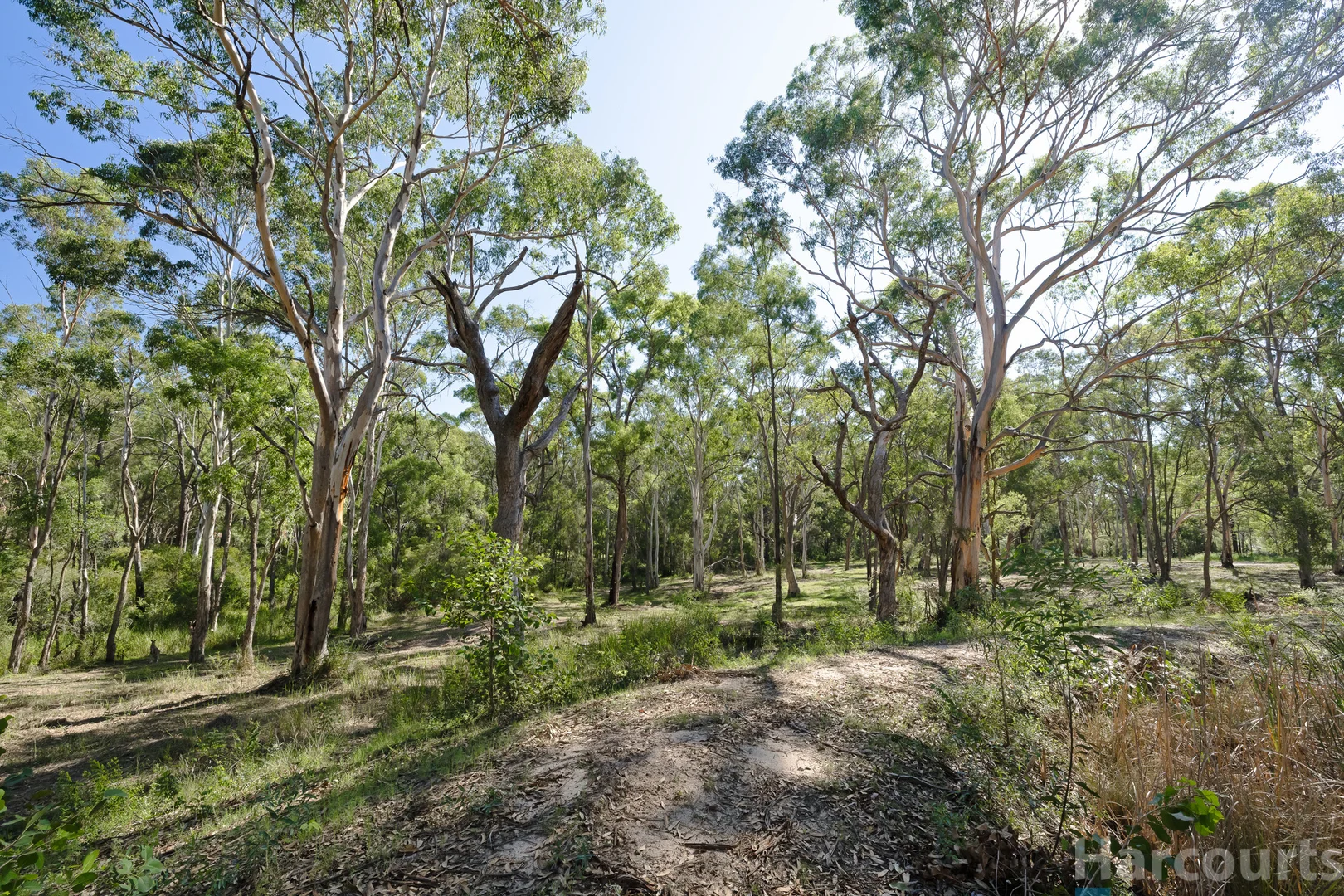 Additional image 16 of 75 Church Street, Abermain NSW 2326