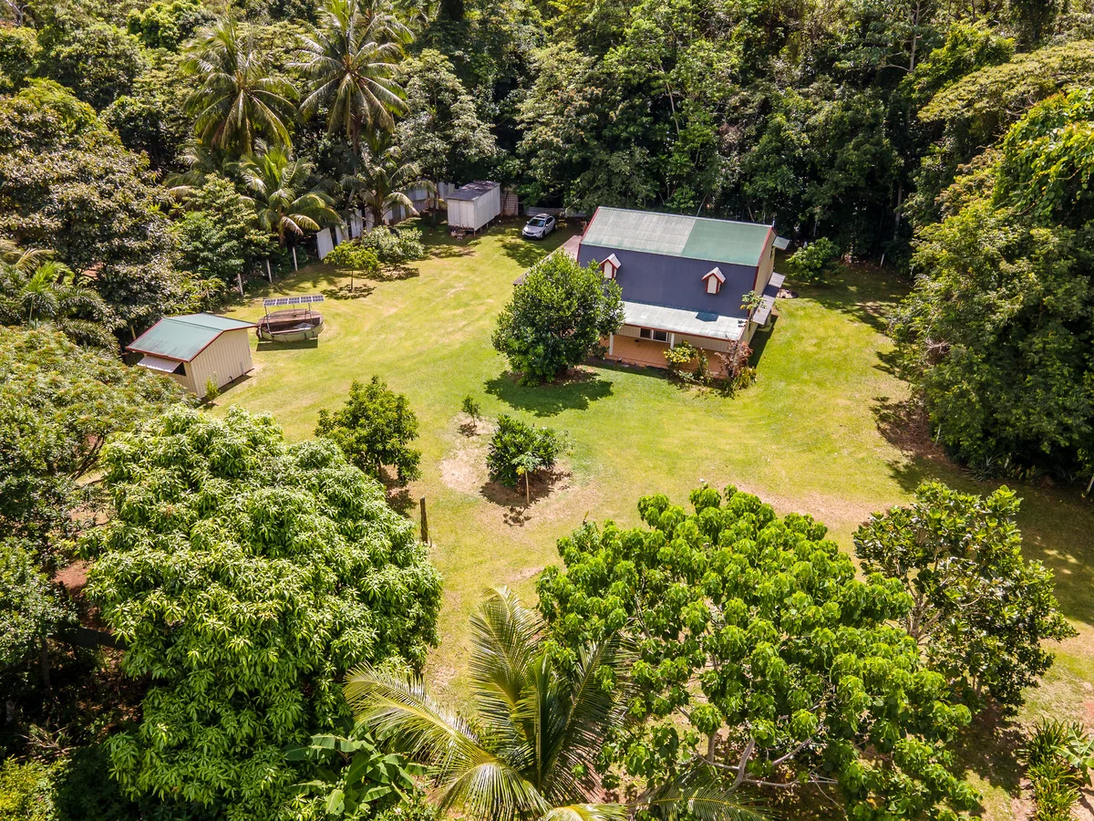 Additional image 3 of 227 Buchanan Creek Road, Cow Bay QLD 4873