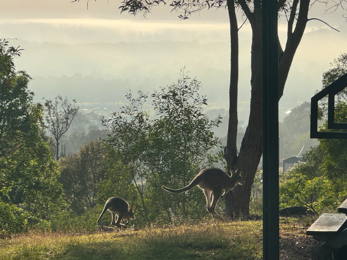 Additional image 16 of 68 Myleema Road, Woodford QLD 4514