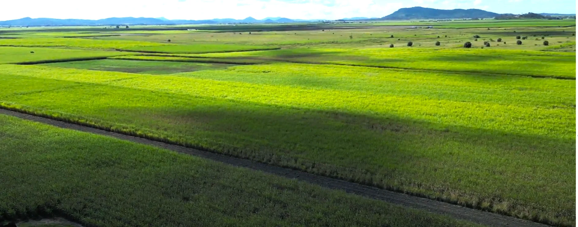 Additional image 9 of Lot 4 Marge Camerons Road, Marian QLD 4753