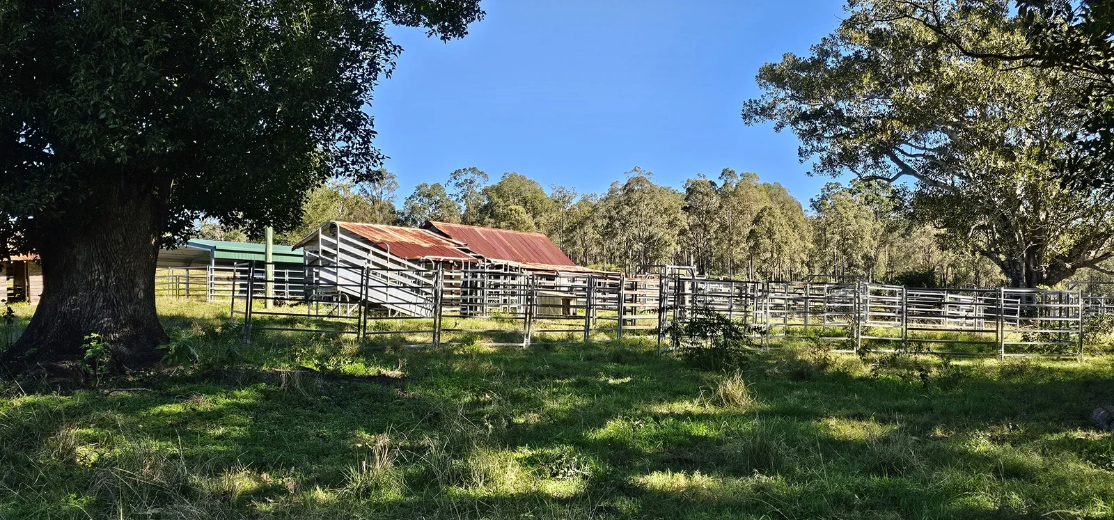 Additional image 4 of 981 Old Dyraaba Road, Lower Dyraaba NSW 2470