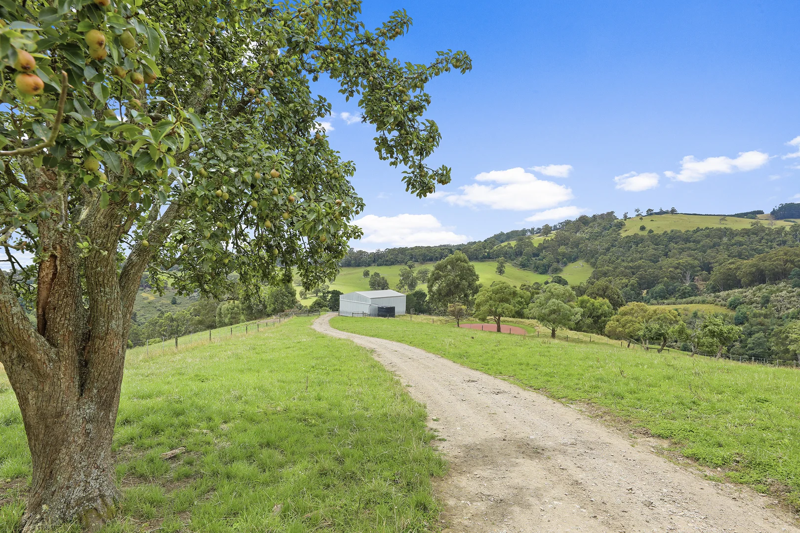 Additional image 21 of 244 Mirboo North-Trafalgar Road, Trafalgar South VIC 3824