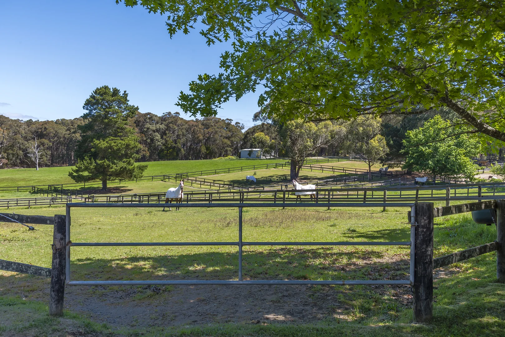 Additional image 24 of 15 Bailey Road, Macedon VIC 3440