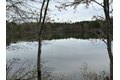 Additional image 4 of Old Bradley Rd, Mardela Springs, MD, 21837