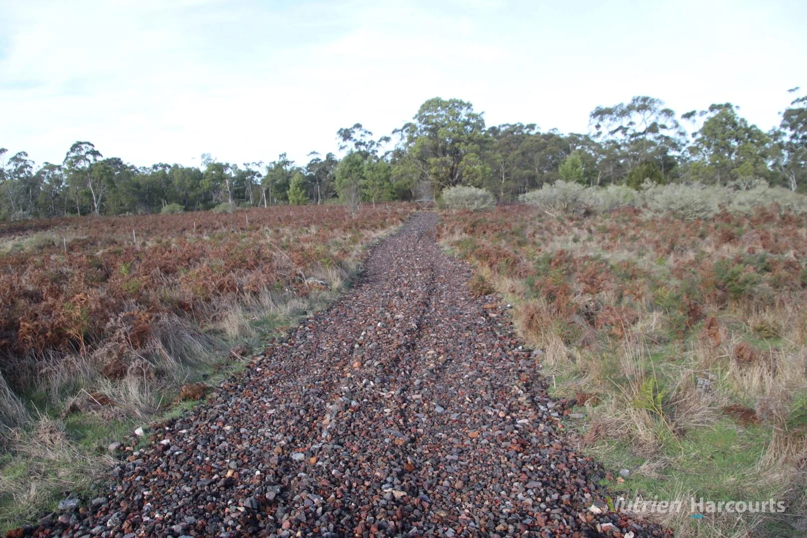 Additional image 5 of 1805 Princes Highway, Pirron Yallock VIC 3249