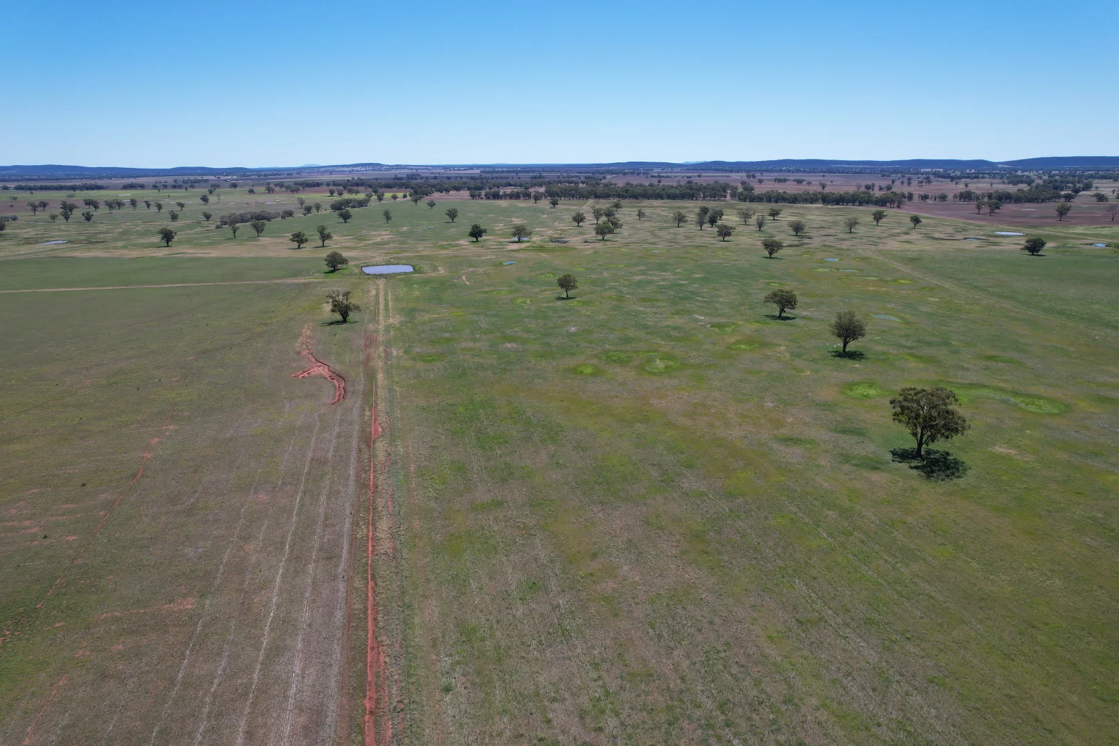 Additional image 13 of "Ben Hall Park" Yarrangong Road, Forbes NSW 2871