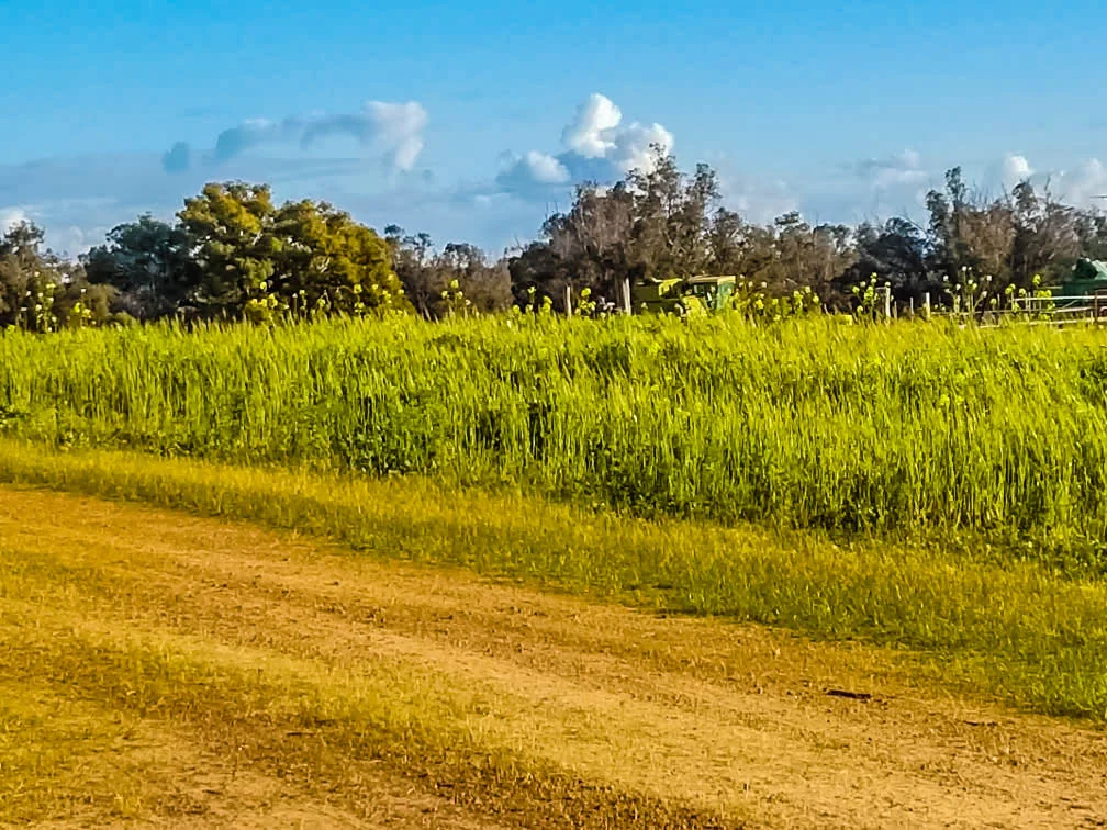 Additional image 6 of 186 Blechynden Road, Dinninup WA 6244