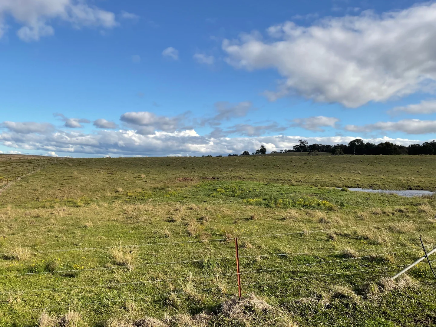 Additional image 4 of Anambah NSW 2320