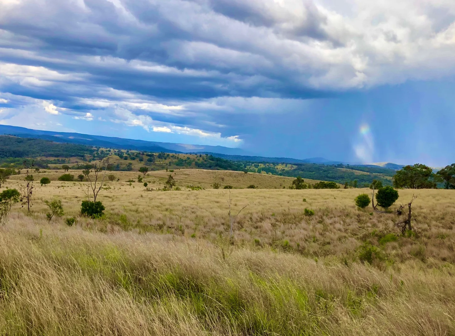 Additional image 9 of Nullamanna NSW 2360