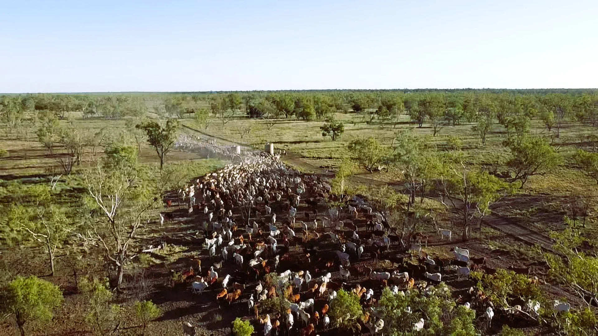 Additional image 4 of 2369 Eureka Plains Road, Enngonia NSW 2840