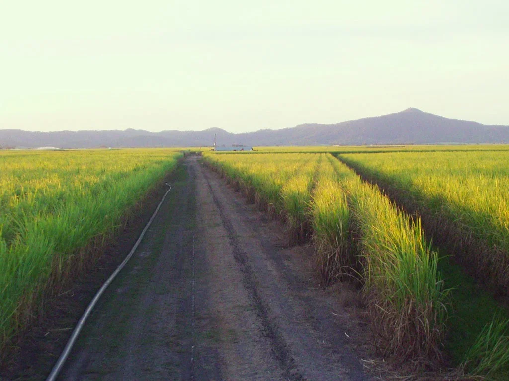 Additional image 7 of Lot 4 Marge Camerons Road, Marian QLD 4753