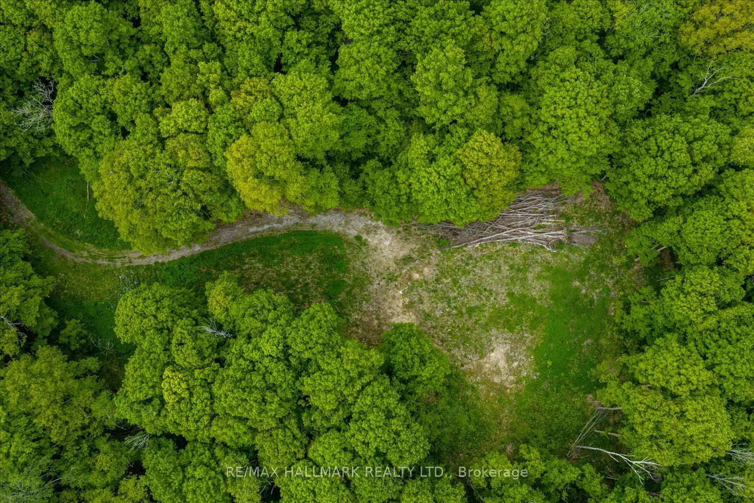 Additional image 8 of 430 Churchill Avenue