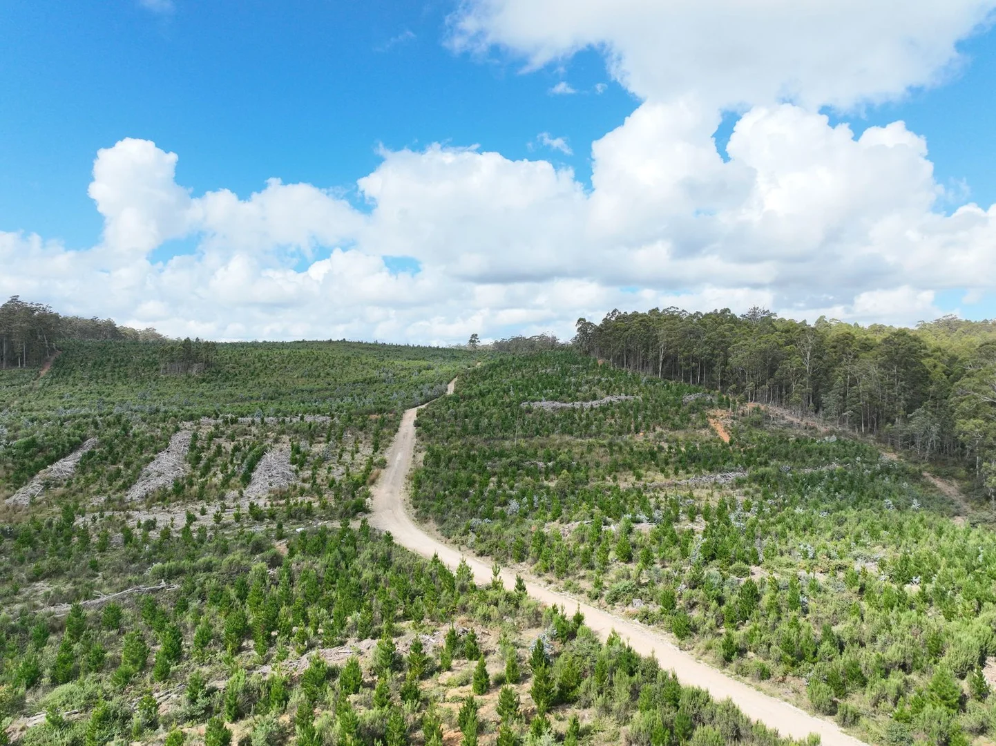 Additional image 3 of Part of 190 Porters Bridge Road, Exton TAS 7303