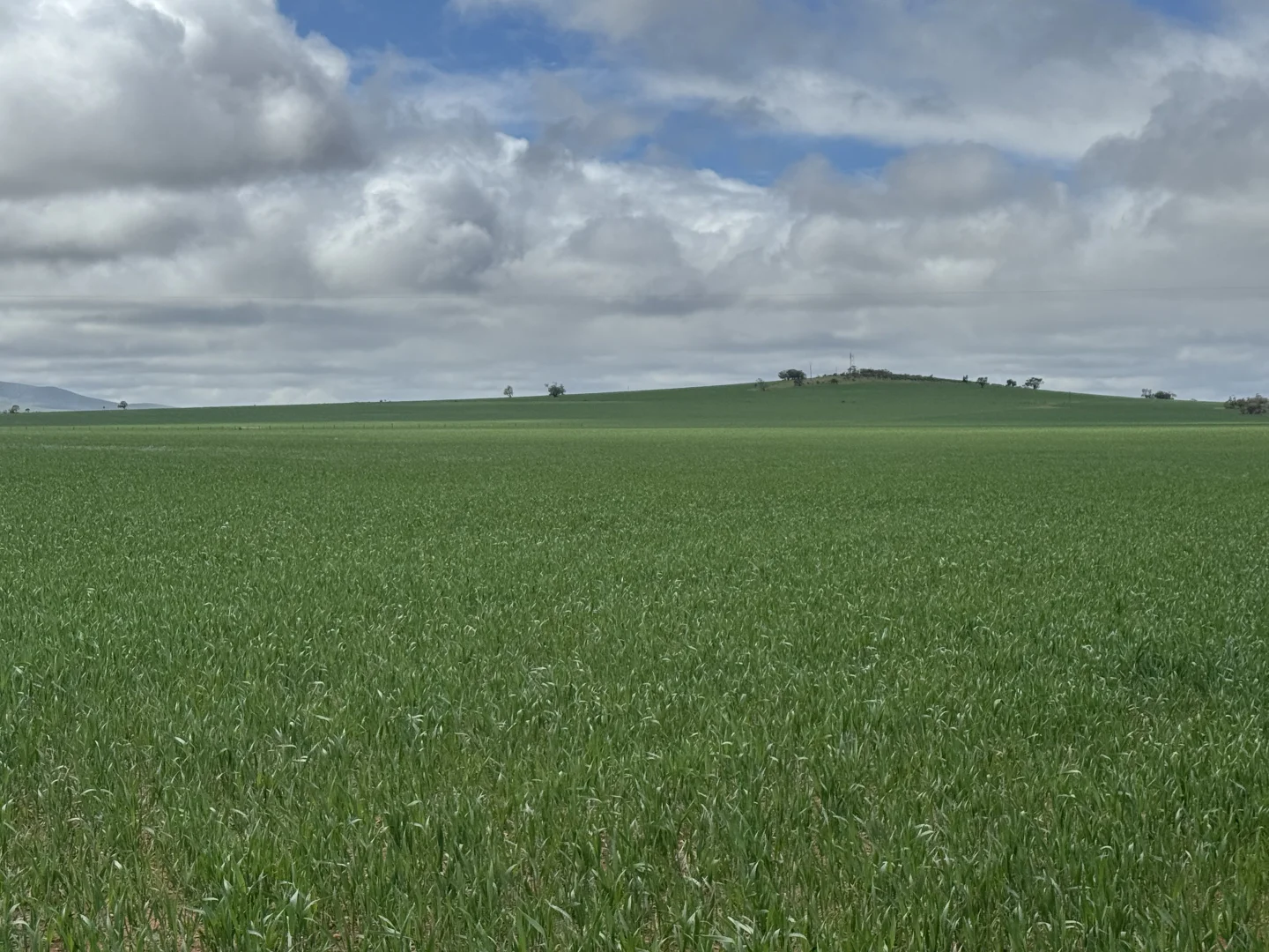 Additional image 6 of 434 Schmidt Road, Willowie SA 5431