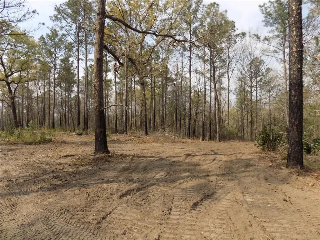 Additional image 17 of Lot 2 Macon County Road 24, Auburn, AL 36830