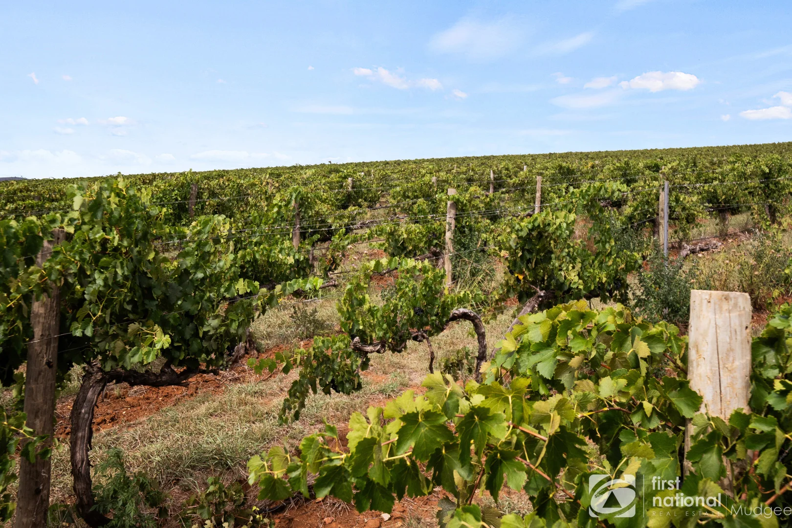 Additional image 3 of 70 Shiraz Drive, Gulgong NSW 2852