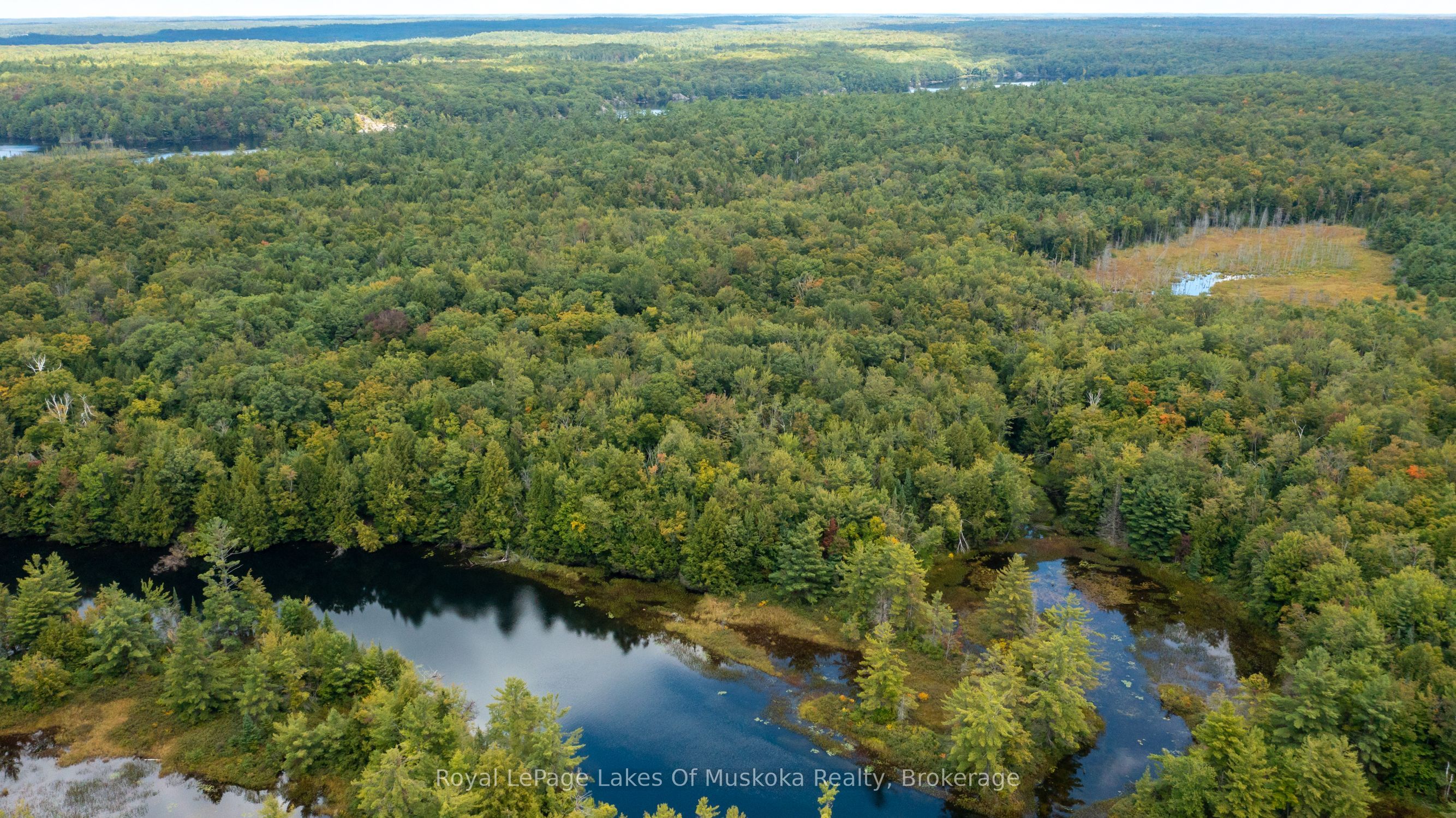 Additional image 3 of 0 Muskoka River N/a, Bracebridge, ON, P1L 0K3