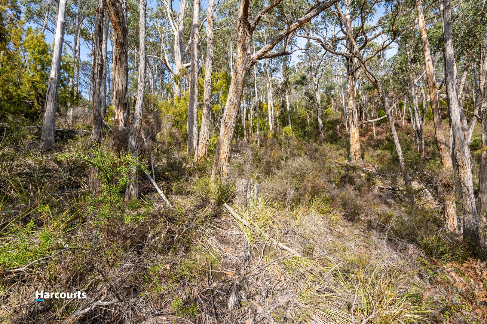 Additional image 17 of 44 Klasen Road, Police Point TAS 7116